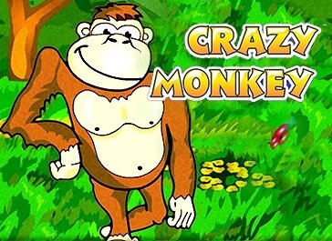 Crazy Monkey - игровой автомат в казино Вулкан